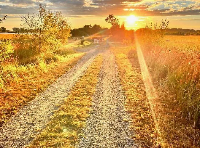 Reethaus Сasa de vacaciones *